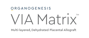 Via Matrix Logo